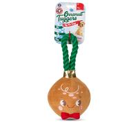 Bow-Wow Pet Gingerbread Ornament Rope Plush Dog Toy
