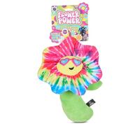 Bow Wow Squeaky Plush Dog Toys - Crinkle Sound - Fun Food & Novelty Shapes - Toss, Tug & Fetch - Canvas & Plush - for Small to Medium Dogs - Multiple Styles (1 Count)