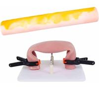 Bowel Practice Model - Silicone Fat Colon Laparoscopic Training for Medical Students(D)