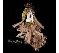 Bowerbirds - Into The Yard B/w Always An Ear To Bend [7" VINYL]