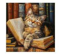 Bowetile 5D DIY Cat Diamond Painting Art Kits for Adults, Sleepy Cat Diamond Art Painting Kits, Full Drill Flower Painting Rhinestone Embroidery Pictures for Beginners, Home Wall Decor 30x30 cm