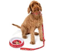 Disney Minnie Mouse Pets Gift Set | Small OR Medium Character Lead Collar Charm Accessory Feeder Food Water Bowl | Dogs Cats Animals Xmas Birthday Treats Small
