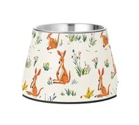 Bowl for Pets Non Skid Stainless Steel Pets Feeding Bowl for Dogs Cats Rabbits Birds Comfort Feeding Cartoon Kangaroo