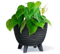 Bowl Planter Plant Pot with Legs Oval Flower Modern Decorative FURU Indoor 4 Colours Modern Elegant Plqastic Matt Finish Textured Home Office Balcony Lightweight (Anthracite, 23.6cm)