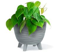 Bowl Planter Plant Pot with Legs Oval Flower Modern Decorative FURU Indoor 4 Colours Modern Elegant Plqastic Matt Finish Textured Home Office Balcony Lightweight (Grey, 23.6cm)