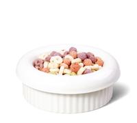 BOWLBOWL 2.8 in High Premium Elevated Ceramic Cat & Dog Bowl, 7.3 in Wide & Shallow, for Short-Legged Cats (Munchkin) & Toy Breeds, Whisker-Friendly, No-Spill, Made in Korea (Donut, White)