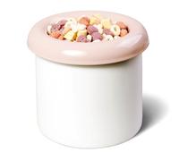 BOWLBOWL 5.9 in High Premium Elevated Ceramic Cat & Dog Bowl with Stand, 7.3 in Wide & Shallow, for Cats and Medium Dogs, Whisker-Friendly, No-Spill, Made in Korea, Hello Bowl (Donut, Pink)