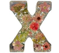 BOWTONG Floral Resin Letter Night Light with Real Pressed Flowers, DIY Handmade Creative Letter Flowers Lamp, Creativity Floral Resin Night Lights Alphabet for Mother, Wife, Women