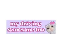 BOWTONG Nice Driver Car Sticker, my driving scares me too, Self Adhesive Learner Driver Si Funny Essential Sticker, Sticker For Car,