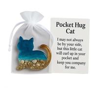 BOWTONG Pocket Hug Dachshund, Dachshund Pocket Hug Token with Cards, Keepsake Warm Dach-shund Gifts, Inspirational Long Distance Keepsake, Mini Resin Animal Hug Token