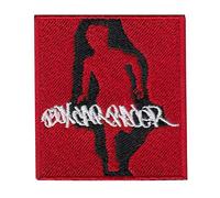 Box Car Racer Patch Badge Embroidered Iron on Applique