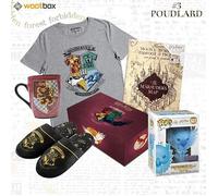 BOX HARRY POTTER POUDLARD