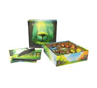 Box Insert - Photosynthesis