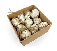 Box of 10 Chubby Mealworms Suet & Seed Pine Cones