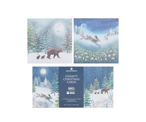 Box Of 10 RSPCA Charity Hare & Bears Christmas Cards In 2 Designs