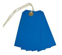 Box of 1000 Blue Strung Tags 120mm x 60mm