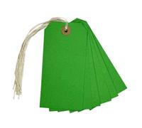 Box Of 1000 Green Strung Tags 120mm X 60mm