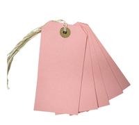 Box Of 1000 Light Pink Strung Tags 120mm X 60mm