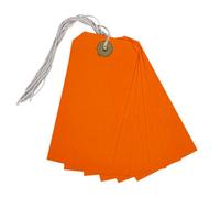 Box Of 1000 Orange Strung Tags 120mm X 60mm