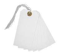 Box Of 1000 White Strung Tags 120mm X 60mm