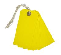 Box of 1000 Yellow Strung Tags 120mm x 60mm