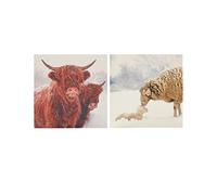 Box of 16 Festive Farm Animals Samaritans Charity Christmas Cards In 2 Designs 557001
