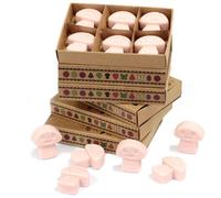Box Of 6 Natural Soy Wax Melts - Old Ginger