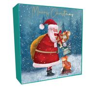 Box of 6 Sparkle Santa & Animals Embellished Christmas Cards Xmas Card Boxes XLSB101