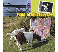 Box of Chocolates - Fearful Symmetry [VINYL]