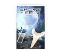 Box of Fossilized Shark Teeth - Real Prehistoric Shark Tooth Set for Fossil Education and Collection -Style 1