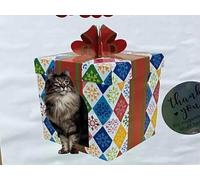 Box Shape corrugate cat Scratcher-cat Toys cat litters Play House Scratching Board pad- cat Tree scratchers Funiture Protector from Clawing Holiday cat Present Gifting