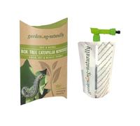 Box Tree Caterpillar Nematodes 30sqm x 2 Treatments Includes Nematode Applicator