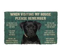 Boxbit Door Mat Entrance door matts indoor Please Remember Patterdale Terrier Dogs House Rules Doormat home decor