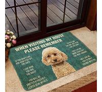 Boxbit Door Mat Maltipoo Dog When Visiting My House Please Remember Doormat Welcome Mat Gift for Dog Lovers Funny Doormat Gift Idea home decor