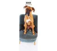 Boxer 2027 Slim Calendar