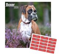 Boxer Calendar 2026 | 16 months | with FREE Organisational Stickers, Boxer Dogs Gift