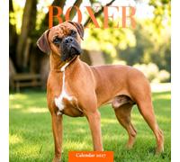 Boxer Calendar 2027: Boxer Portraits and Outdoor Scenes