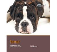 Boxer (Dog Expert)