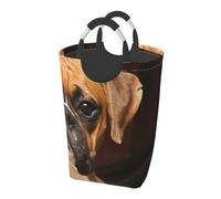 Boxer Dog, Laundry Hamper, Collapsible Laundry Basket Large Durable Storage Bin with Handles 50L