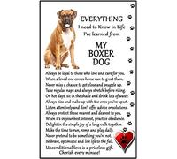 Boxer Dog Lover (I Learned from my Boxer) Gift - Large Fun flexible Fridge Magnet- size 16cms x 10 cms (approx. 6" x4")