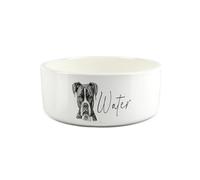 Boxer Dog Pet Bowl - Black & White Portrait Large Ceramic Water Bowl - White Water Dish For Dogs