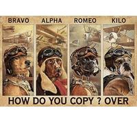 Boxer Dog Pilot Be Strong Be Brave Be Humble Be Badass Poster Gift Wall Decor Decor Poster Wall Art Tin Sign Decor Metal Sign Poster 8X12 Inches