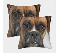Boxer Dog Portrait-Pet Animal Photography Pillow Covers 2 Pack Cozy Pillowcases Art Cushion Case with Invisible Zipper Decorative for Sofa Living Room Bed Home 45x45cm