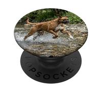 Boxer Dog River Splash Action Outdoor Scene PopSockets Adhesive PopGrip