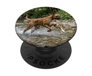 Boxer Dog River Splash Action Outdoor Scene PopSockets Adhesive PopGrip