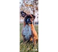 Boxer Dog Silm 2021 Calendar - 15cm x 42cm