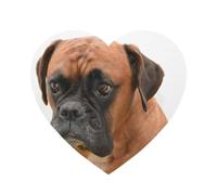 Boxer Dog With Sad Face,Acrylic Fridge Magnets Sticker Whiteboard Magnets for Kitchen and Furniture Decoration,Heart Shape