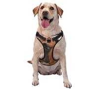 Boxer Dog With Sad Face,Pet Harness,Adjustable Reflective Dog Harness,Pet Leash Vest,XL