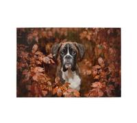 Boxer Dogs Autumn1