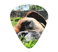 Boxer Dogs Green Grass Pets Lawn Dogs,12 Pcs Guitar Pick,3 Different Thickness Plectrums for Acoustic Guitar Bass Ukulele (0.46mm 0.96mm 0.71mm)